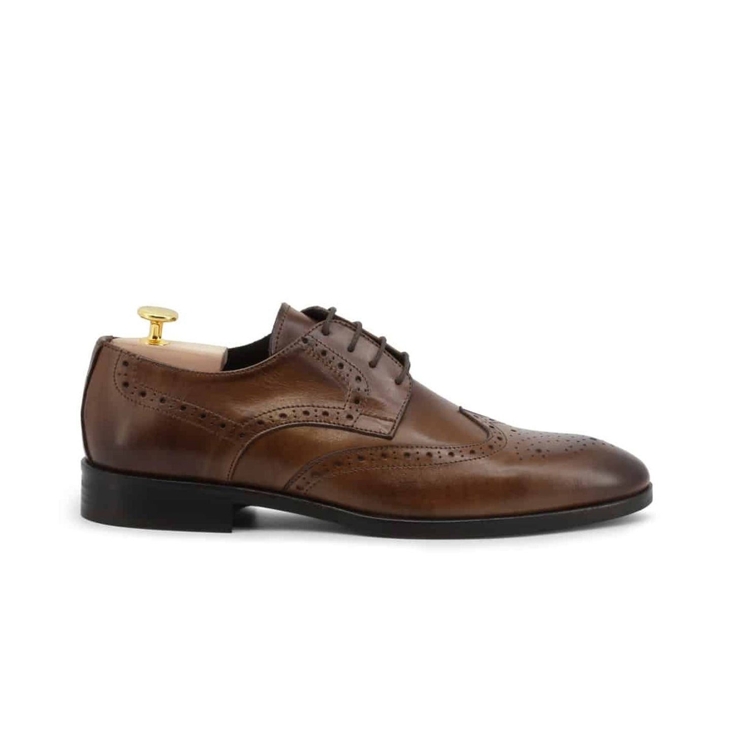 Duca di Morrone Lace up