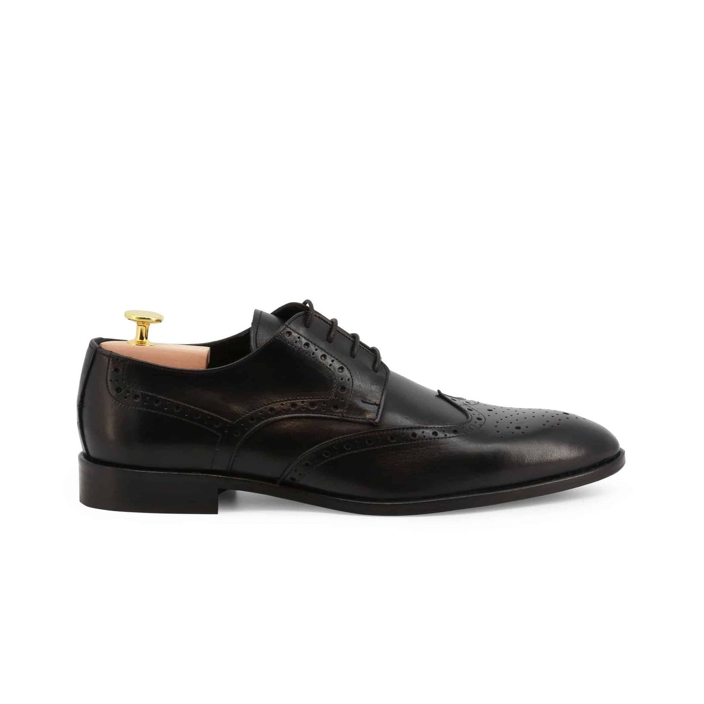 Duca di Morrone Lace up