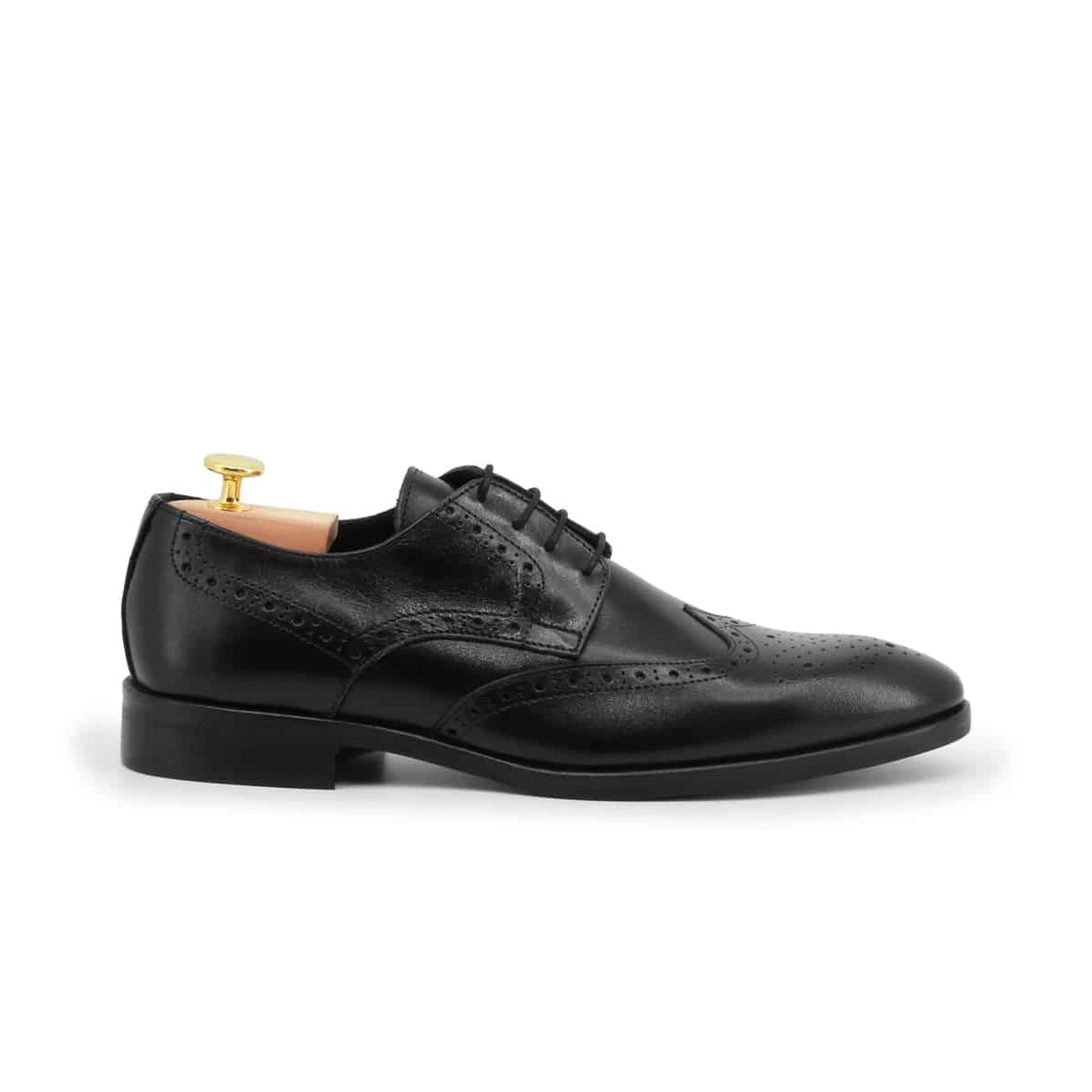 Duca di Morrone Lace up