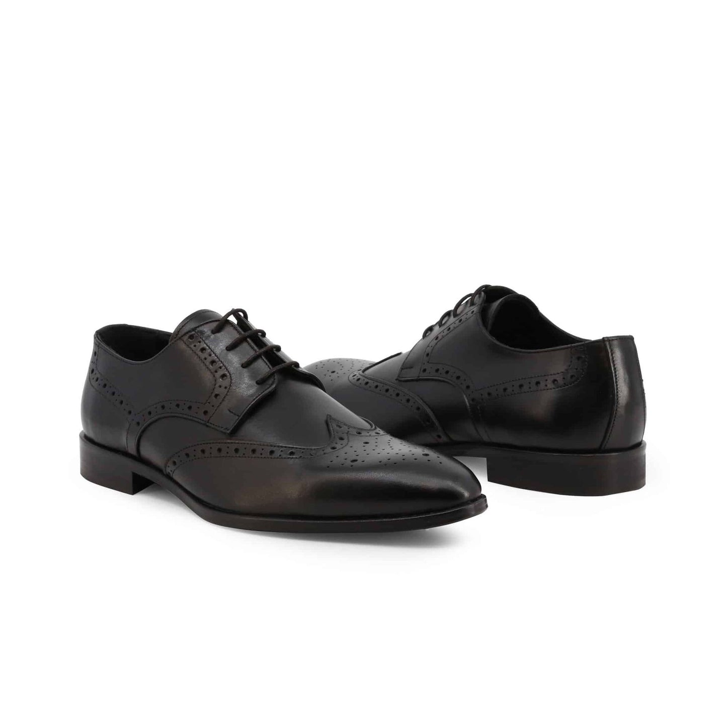 Duca di Morrone Lace up