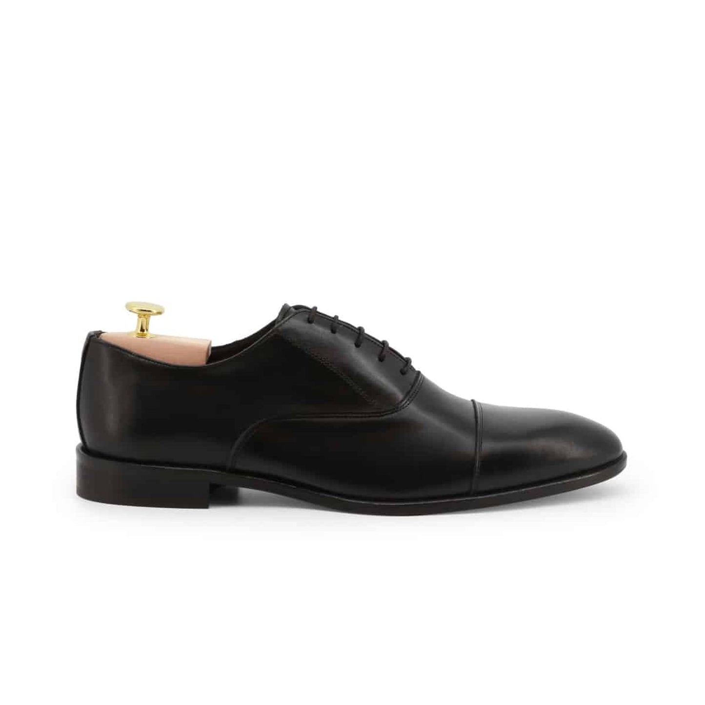 Duca di Morrone Lace up