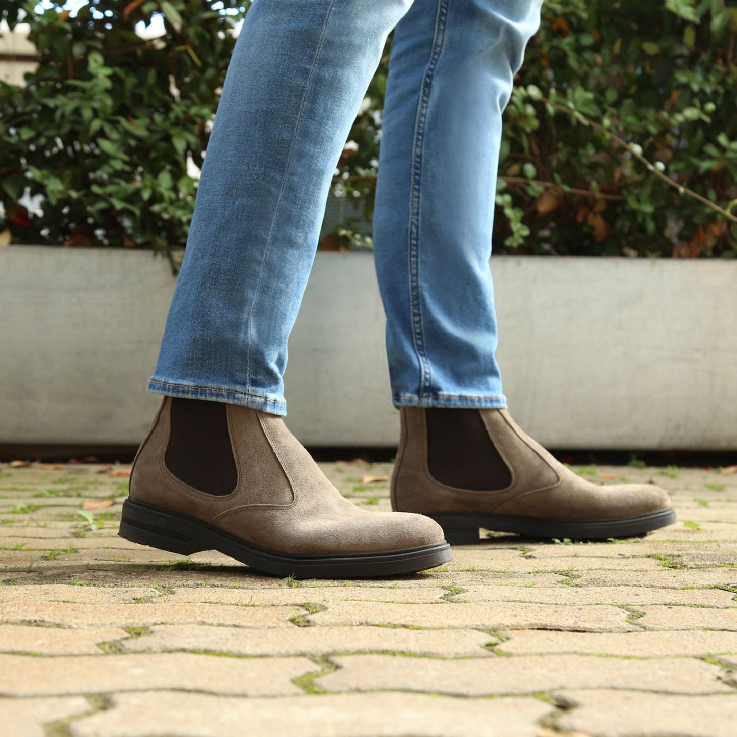 Duca di Morrone Ankle boots