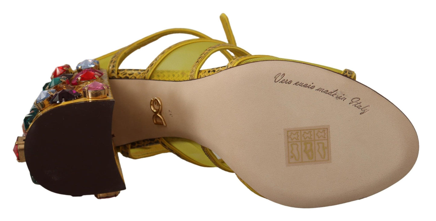 Dolce & Gabbana Yellow Leather Crystal Ayers Sandals Shoes