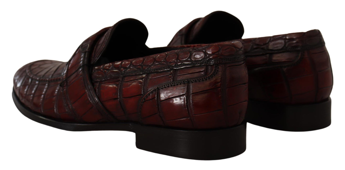 Dolce & Gabbana Bordeaux Exotic Leather Dress Derby  Shoes