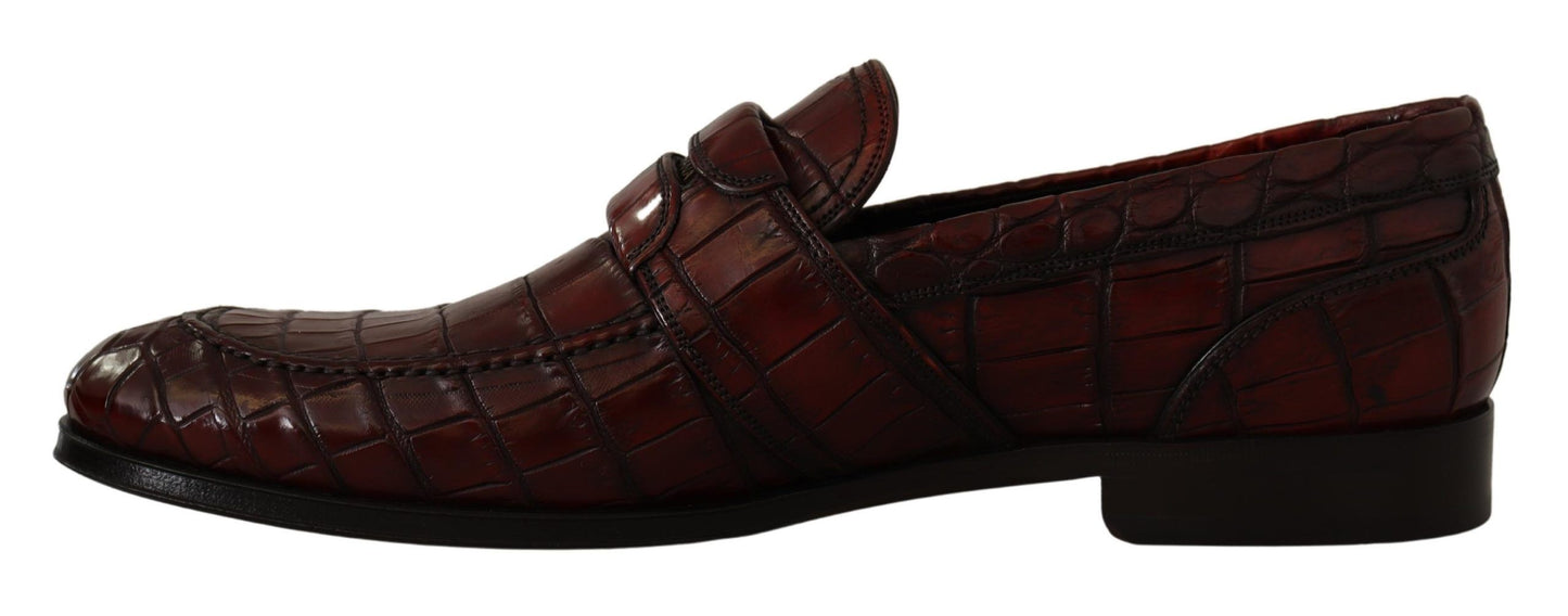 Dolce & Gabbana Bordeaux Exotic Leather Dress Derby  Shoes