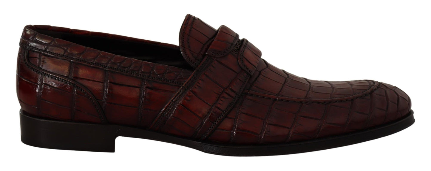 Dolce & Gabbana Bordeaux Exotic Leather Dress Derby  Shoes