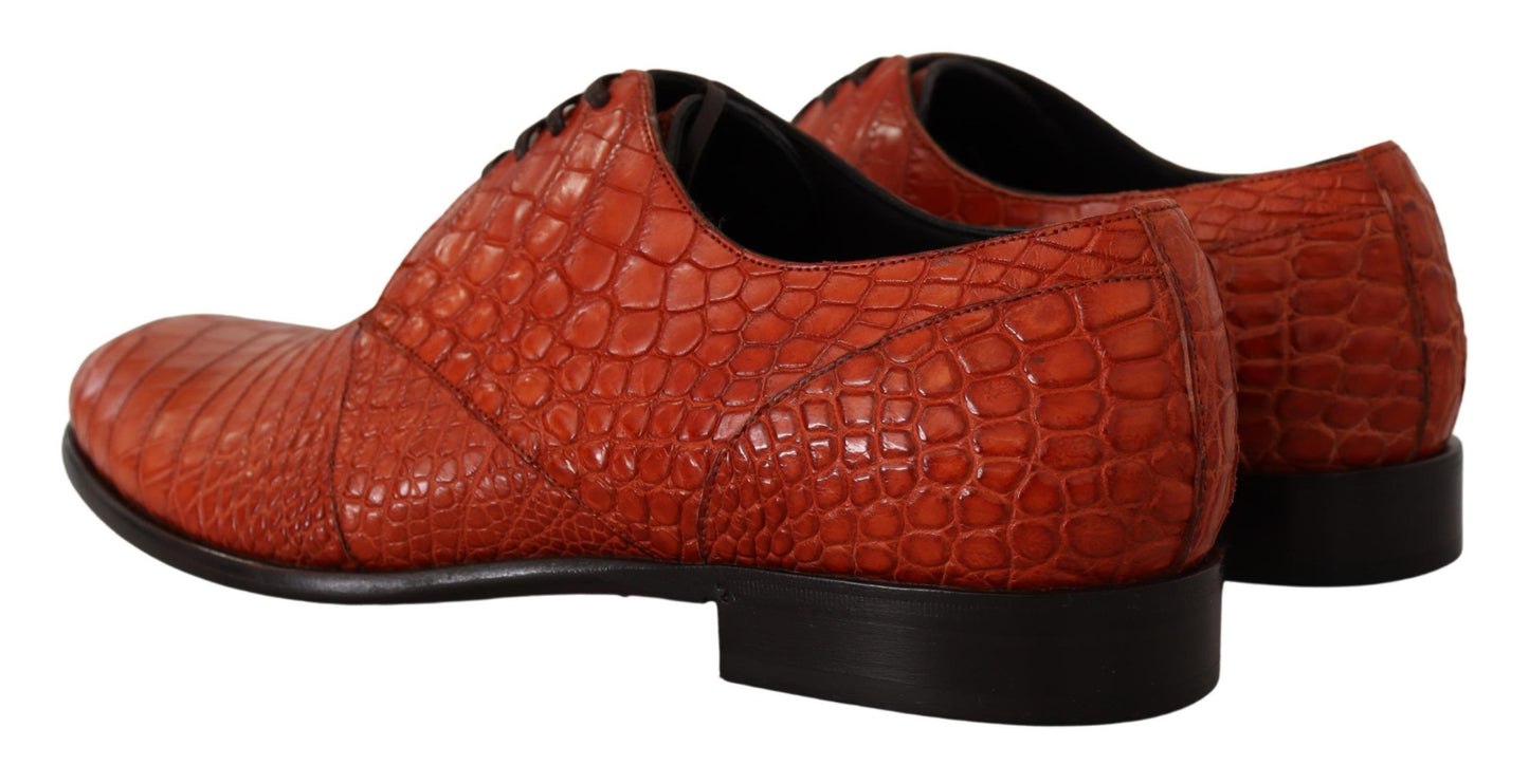 Dolce & Gabbana Orange Exotic Leather Dress Derby Shoes