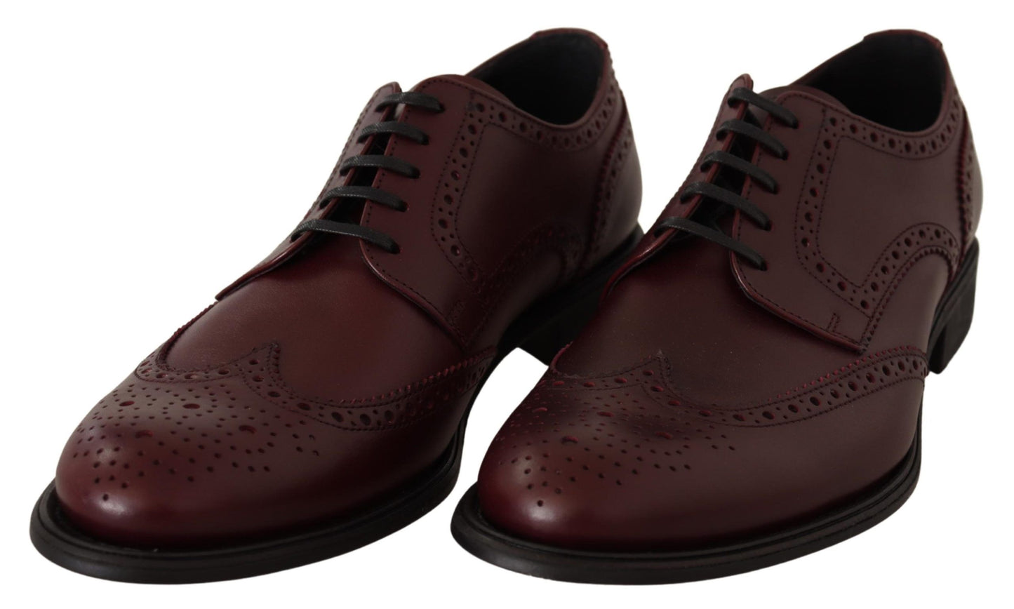 Dolce & Gabbana Bordeaux Leather Oxford Wingtip Formal Shoes