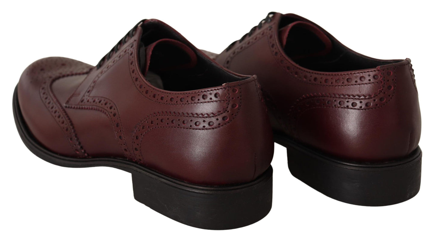 Dolce & Gabbana Bordeaux Leather Oxford Wingtip Formal Shoes