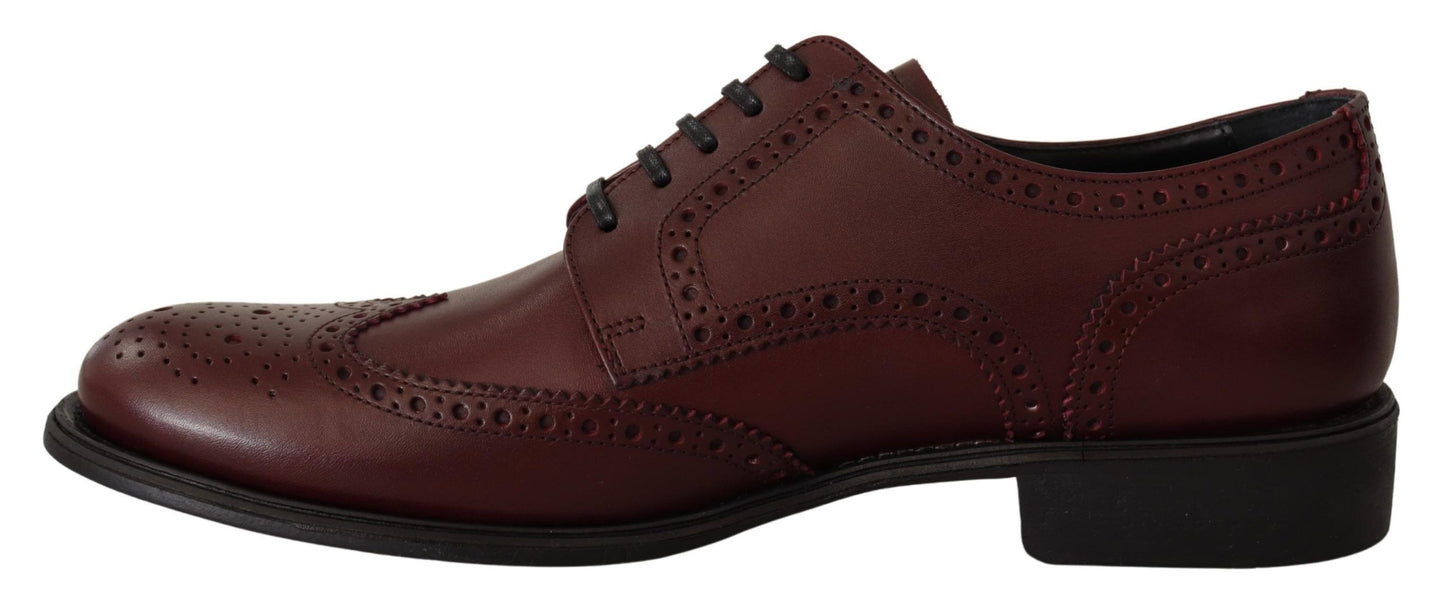 Dolce & Gabbana Bordeaux Leather Oxford Wingtip Formal Shoes