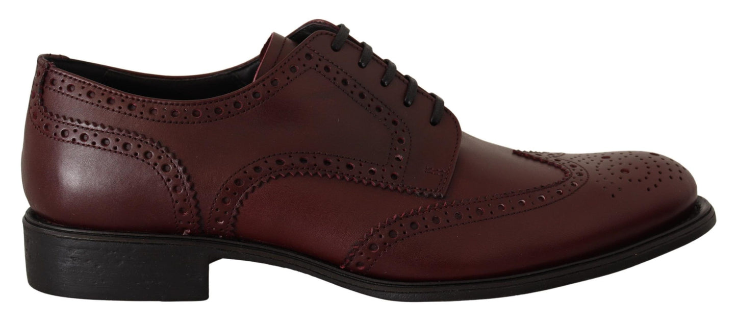 Dolce & Gabbana Bordeaux Leather Oxford Wingtip Formal Shoes