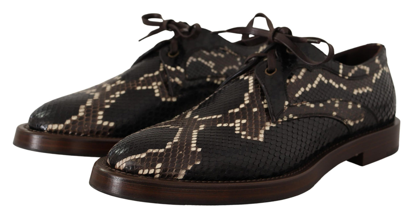 Dolce & Gabbana Brown Derby Exotic Leather Men Shoes