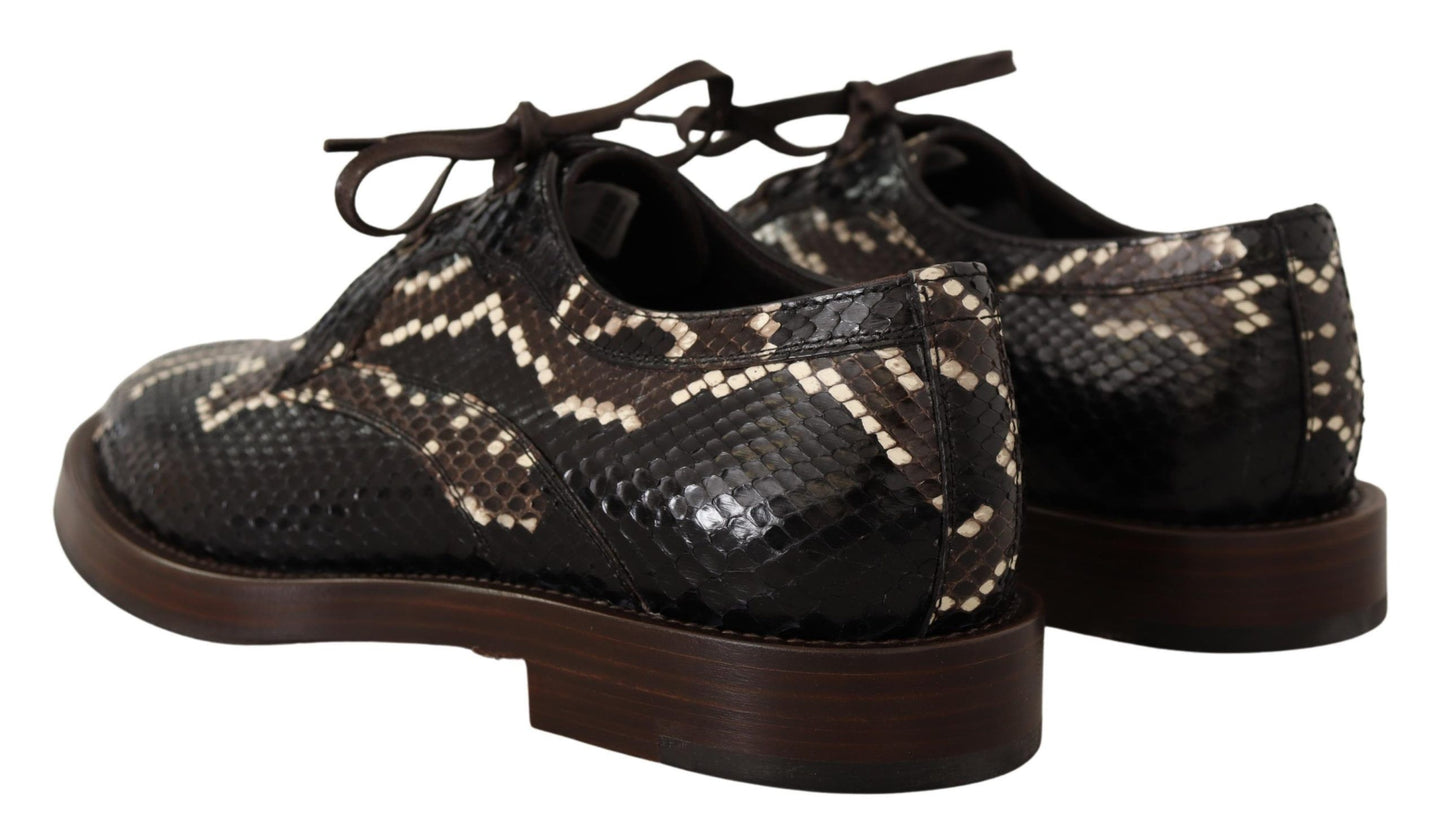 Dolce & Gabbana Brown Derby Exotic Leather Men Shoes