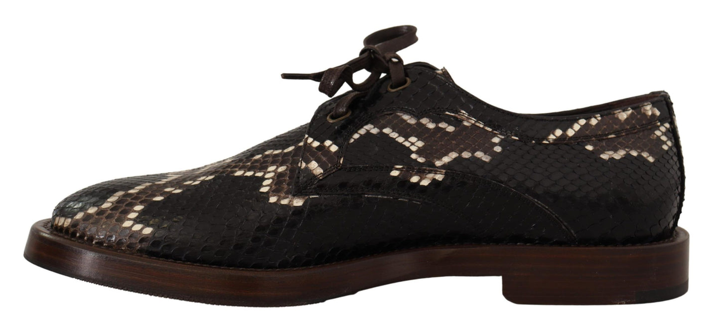 Dolce & Gabbana Brown Derby Exotic Leather Men Shoes