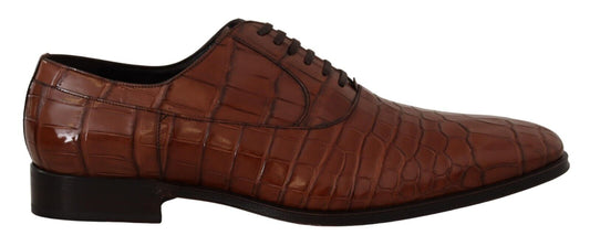 Dolce & Gabbana Brown Crocodile Leather Mens Formal Derby Shoes