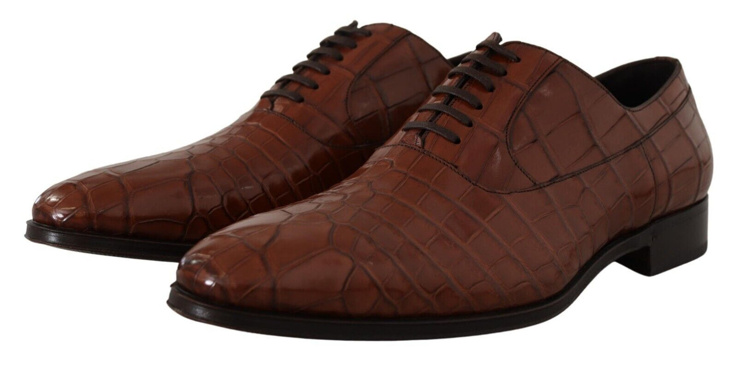 Dolce & Gabbana Brown Crocodile Leather Mens Formal Derby Shoes