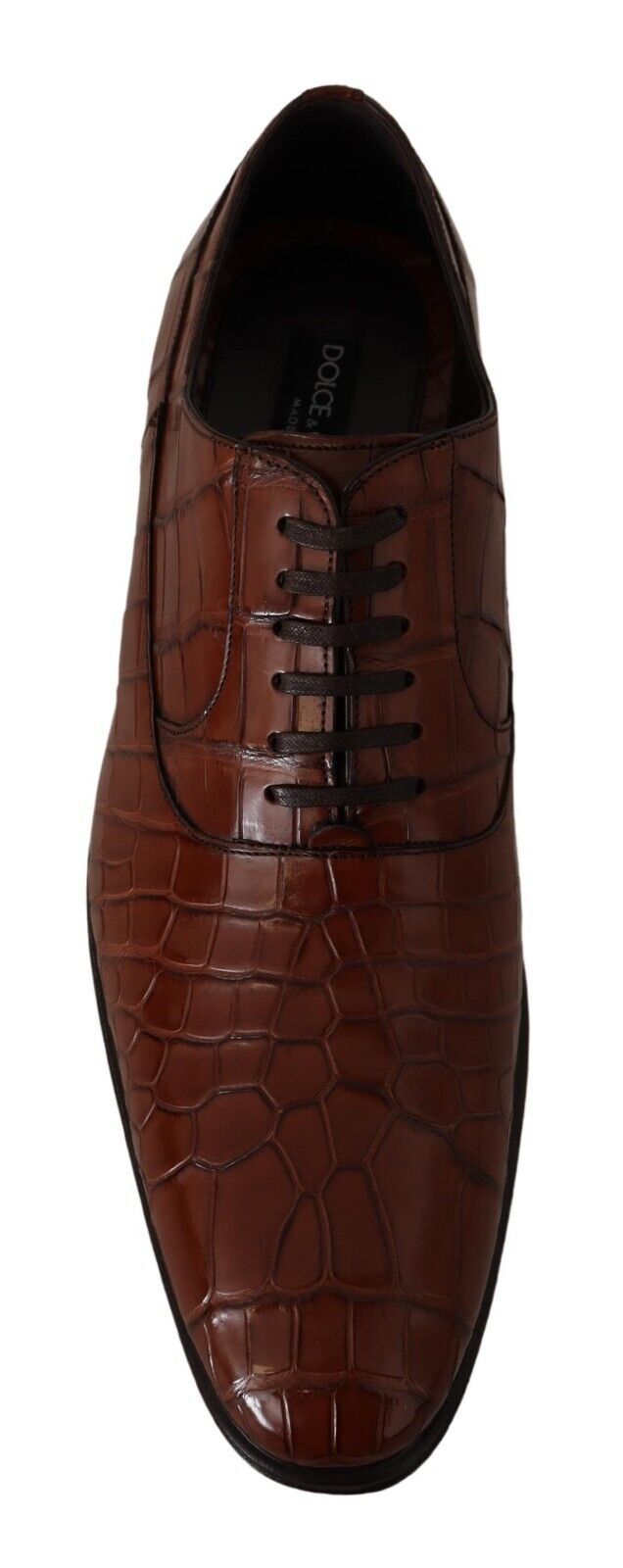 Dolce & Gabbana Brown Crocodile Leather Mens Formal Derby Shoes